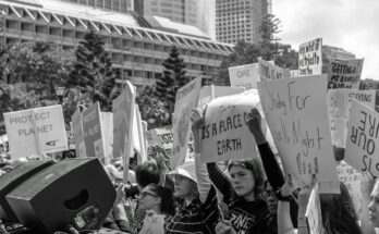 9 Tips to Cultivate Sustainability and Environmental Awareness for Students